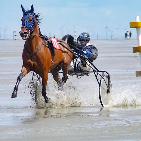 Haus Sonneneck 1 Apartmán