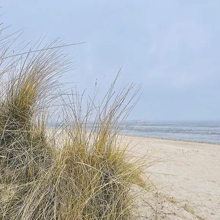 Apartmán Haus Sonneneck 1